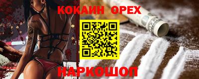 apvp Кингисепп