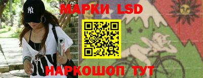 apvp Кингисепп