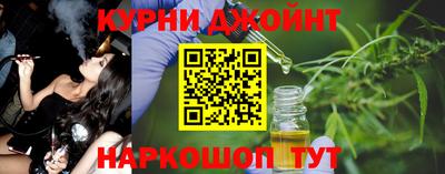 apvp Кингисепп