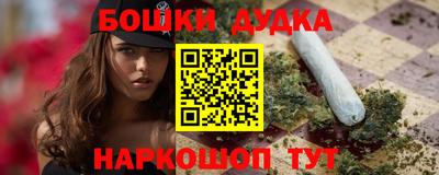 apvp Кингисепп
