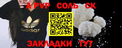 apvp Кингисепп