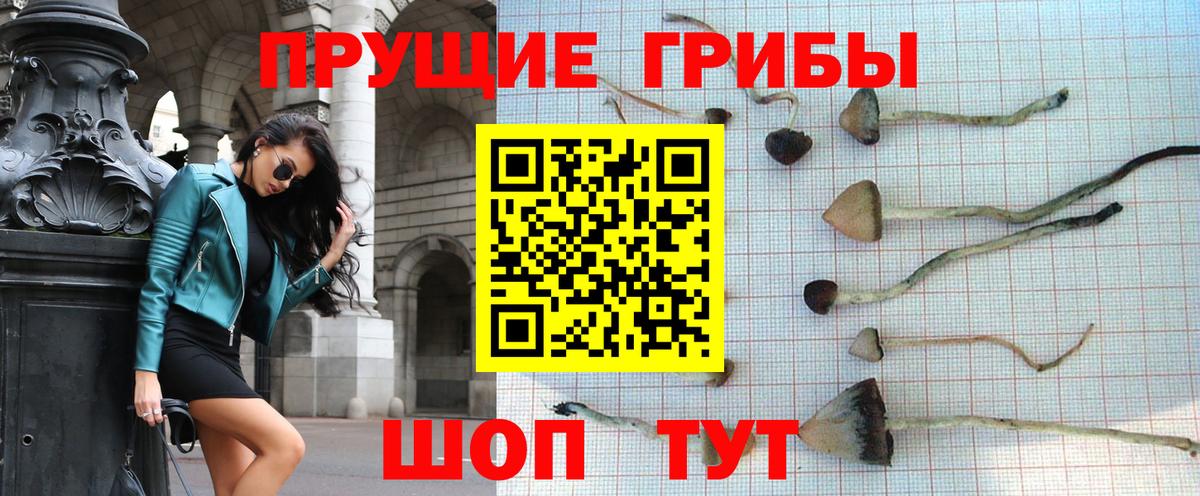 Галлюциногенные грибы MAGIC MUSHROOMS Сокол