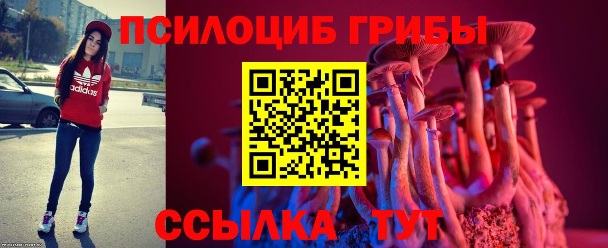 Псилоцибиновые грибы Psilocybe  Вход с VPN  Сокол 