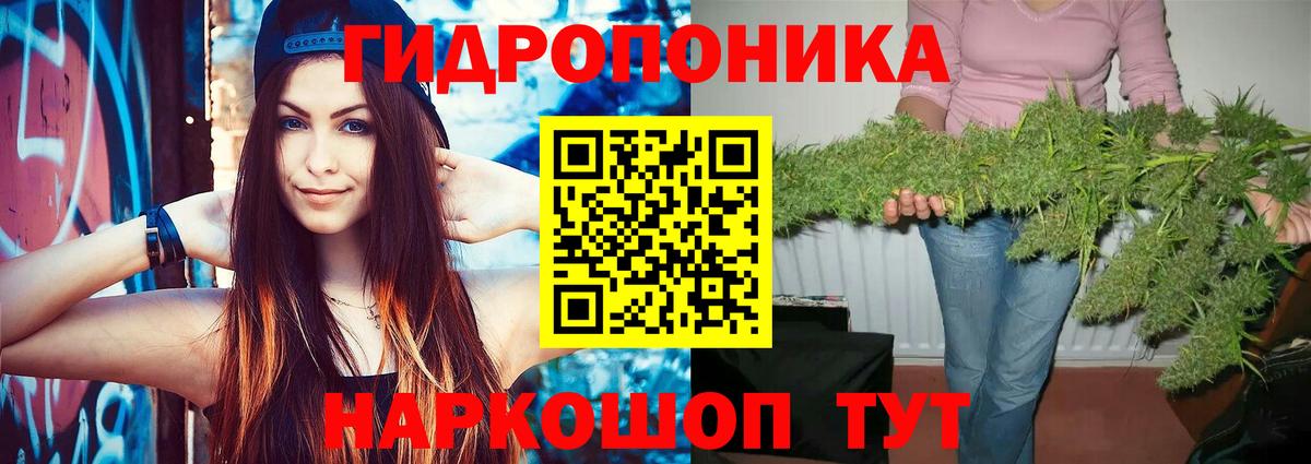 Канабис Bruce Banner  Каннабис Amnesia  Шишки марихуана Bruce Banner  Вход с VPN  Сокол 